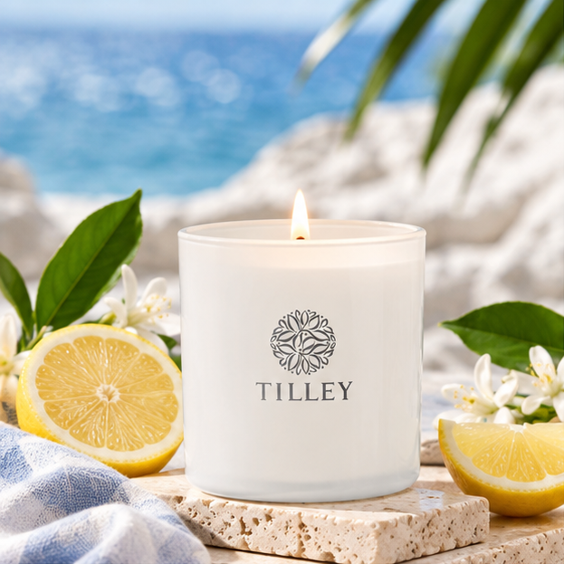 Costal Mist & Citrus Candle