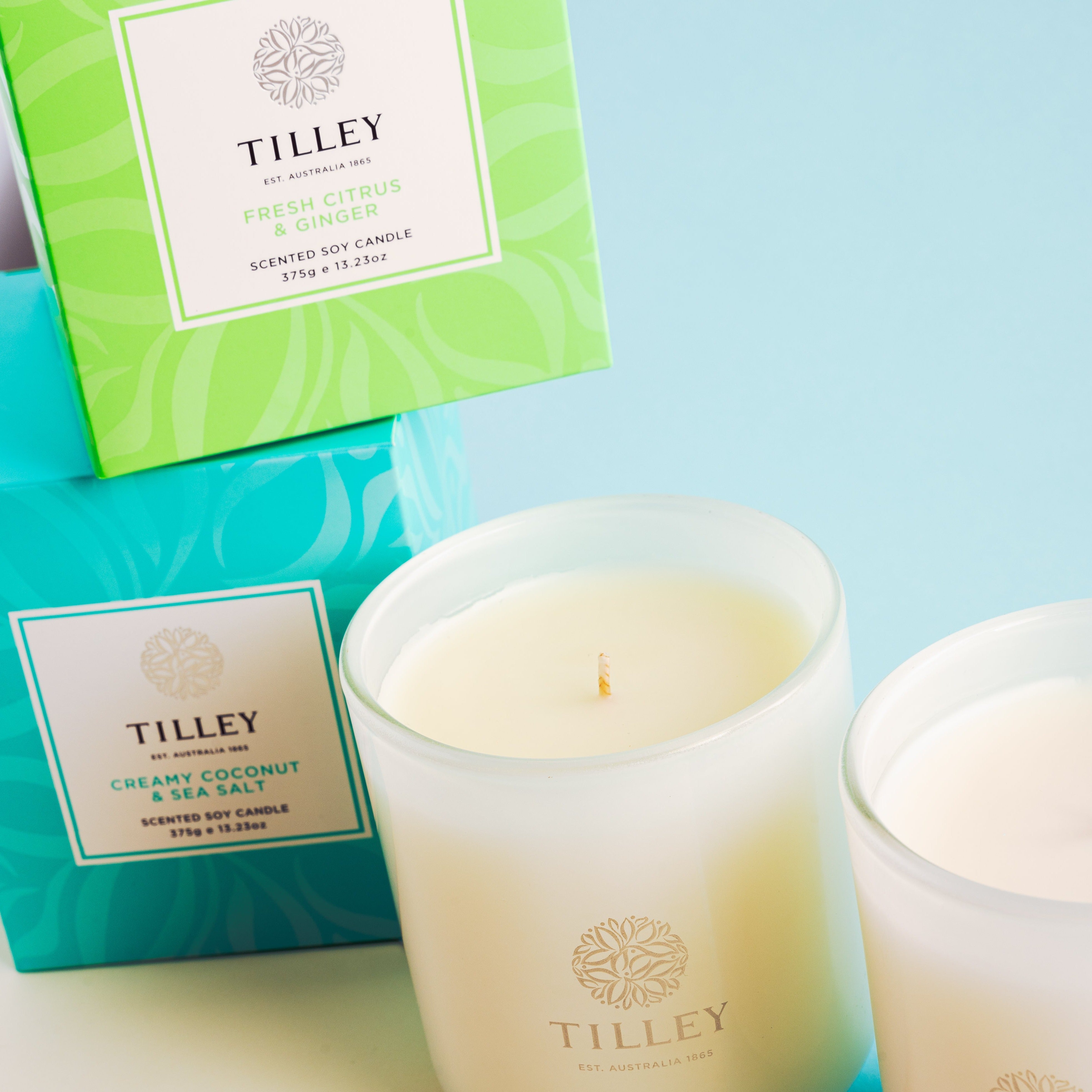 NEW Classic White Fresh Citrus & Ginger 375g Scented Soy Candle