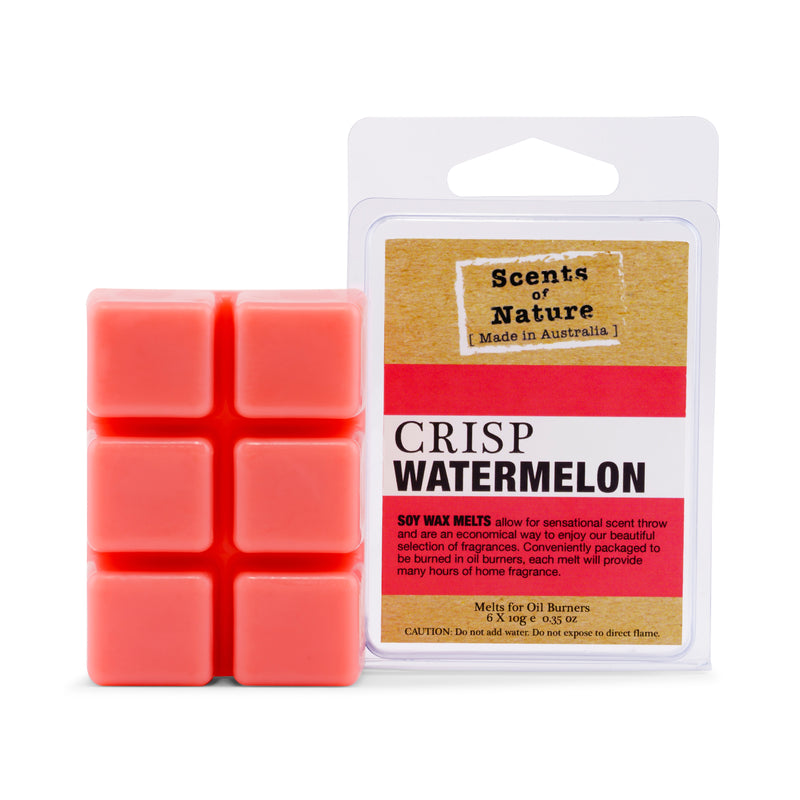 Crisp Watermelon Square Soy Wax Melts 60g